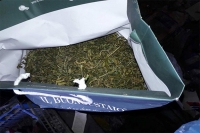 На Вінниччині поліція затримала 23-річного чоловіка зберігавшого вдома майже кілограм наркотиків