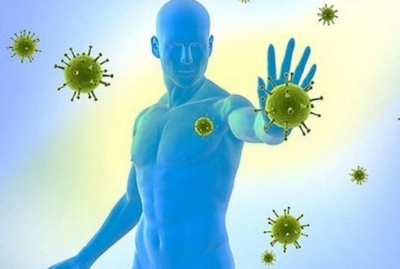 Как защитить свой организм от вирусов и бактерий?