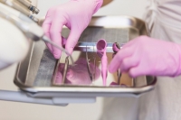 Стерилізатор для інструментів в стоматології: забезпечення безпеки та гігієни