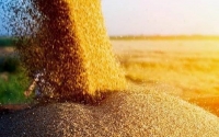 Аграрії Вінниччини намолотили 2 мільйони тонн зерна