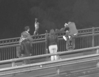 На Київському мосту молодик намагався відірвати металевого кота. Другий випадок за тиждень (Фото)