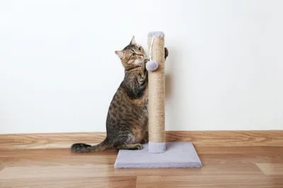 Какие бывают когтеточки для кошек