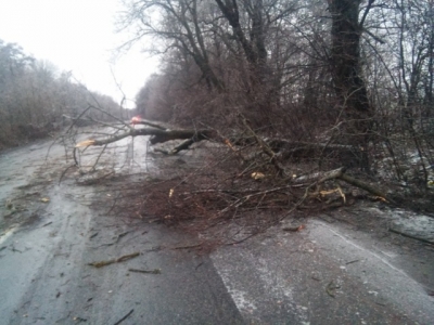 На Вінниччині рятувальники прибрали з автошляху повалене дерево