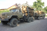 На Вінниччині поліція затримала вантажний автомобіль з незаконно зрубленними деревами