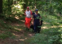 В лісі знайшли тіло 61-річного вінничанина