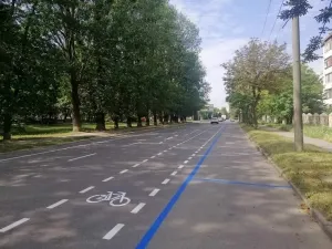 Моргунов пояснив, чому на Стрілецькій розташували велосмугу посеред дороги