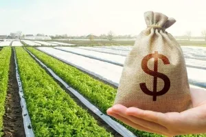 Вінниччина в п’ятірці регіонів-лідерів за кількістю земельних транзакцій