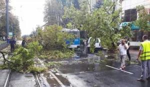Вінницю «накрила» сильна злива з градом та вітром (Відео)