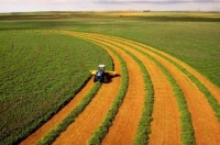 У Вінницькій області росте вартість землі – в тиждень «плюс» 9 тисяч гривень за гектар