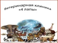 Четыре лапы, ветеринарная клиника