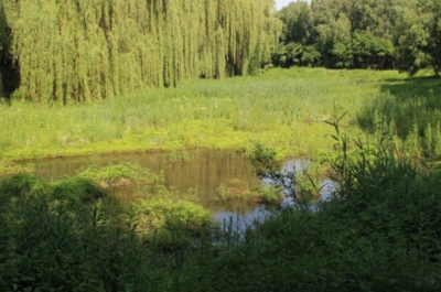 На Вінниччині розчищають русла річок Рось та Вільшанка