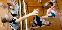 Ставки на волейбол: простой и быстрый способ заработка