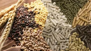 Грануляторы комбикорма 220 вольт