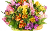 Неочікувана доставка квітів в Вінниці – свято кожного дня