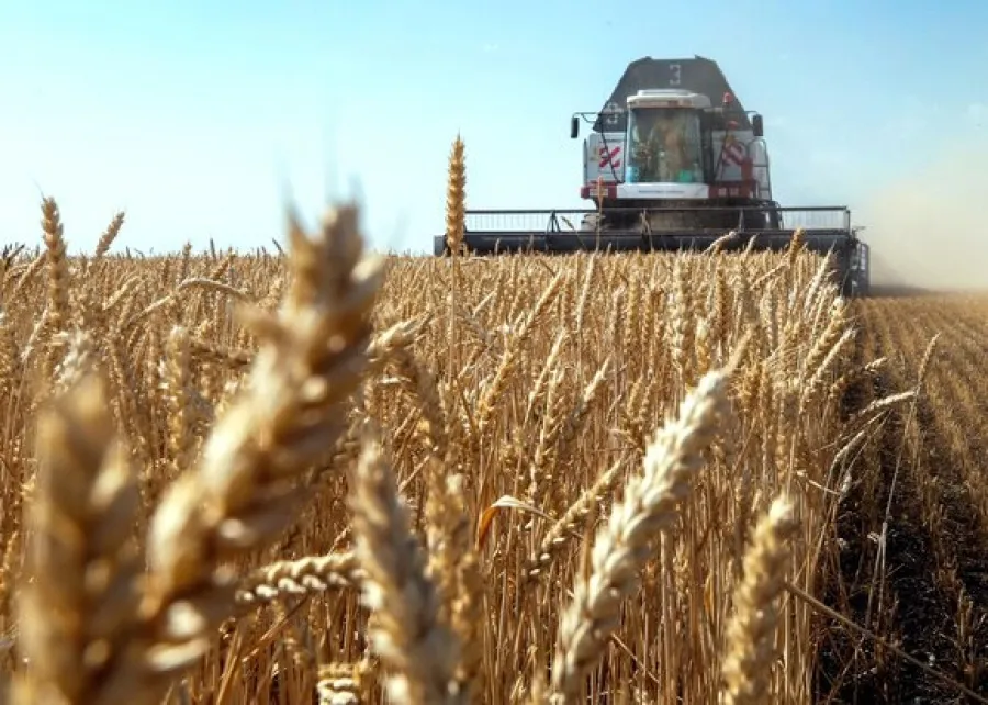 Як експортувати сільськогосподарську продукцію?
