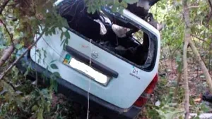 Нетверезий водій на Вінниччині влетів у гущавину та вбив людину, двох покалічив