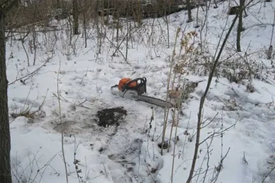 На Вінниччині поліція зловила трьох неповнолітніх злочинців