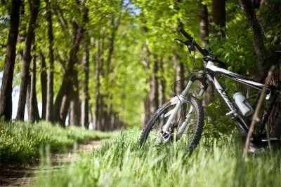 Небайдужі вінничани зловили злодія який відібрав велосипед у 13-річного хлопчика
