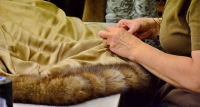 Ремонт меховых изделий в Киеве по лучшей цене в ателье Winter Fur