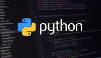Курсы Python: как быстро изучить язык программирования?