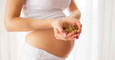 Как влияет на ребенка употребление орехов во время беременности