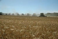 У Вінницькій області розпочався сезон збору ранніх зернових