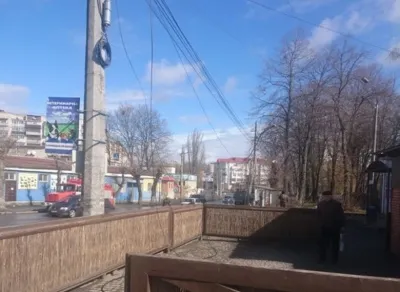 На Тяжилові у Вінниці на дитину впало дерево. 12-річна дівчинка загинула
