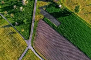 Землі, які на Вінниччині незаконно приватизували, через суд повернули громаді
