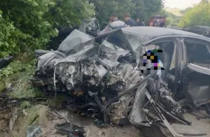 На Винничине произошла страшная авария: 4 погибших и 4 пострадавших (Видео)