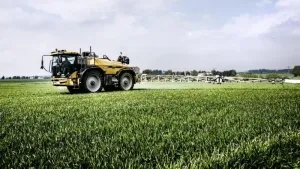 Як обрати правильну стратегію захисту рослин від шкідників у 2024 році