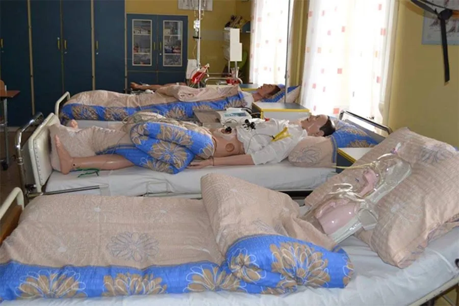 Делегація з Вінниці вивчала досвід колег з Чехії в сферах лісового господарства та охорони здоров’я