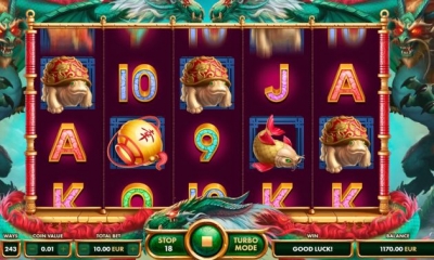 Онлайн-казино с криптолваютой: какое лучше выбрать?