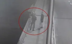 Ночью в Виннице двое пьяных хотели сбросить с моста бронзового гуся (Видео)