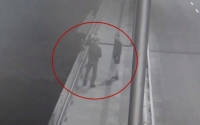 Ночью в Виннице двое пьяных хотели сбросить с моста бронзового гуся (Видео)