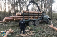 На Вінниччині посадовці комунального лісгоспу організували незаконну вирубку лісу