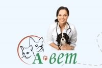 Захворіла собака: до якого ветеринара звернутись у Києві