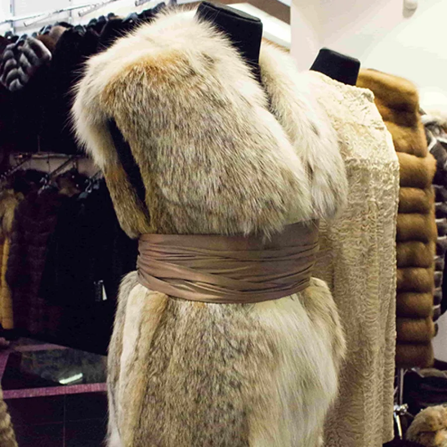Профессиональная химчистка шубы в Киеве от Winter Fur
