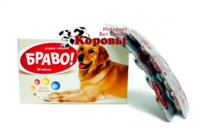 Вітаміни для тварин: де можна купити недорого?