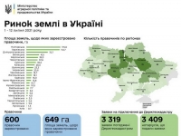 Ринок землі: у Вінницькій області продали 43,1 гектарів