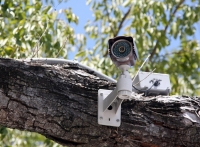 Камеры видеонаблюдения: неоправданные расходы или инвестиция