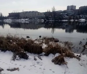 У центрі Вінниці на Південному Бугу побачили «плавучі міни»
