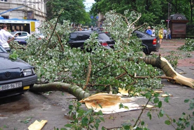 Негода в Ямпільському районі завдала збитків на 500 тис.грн